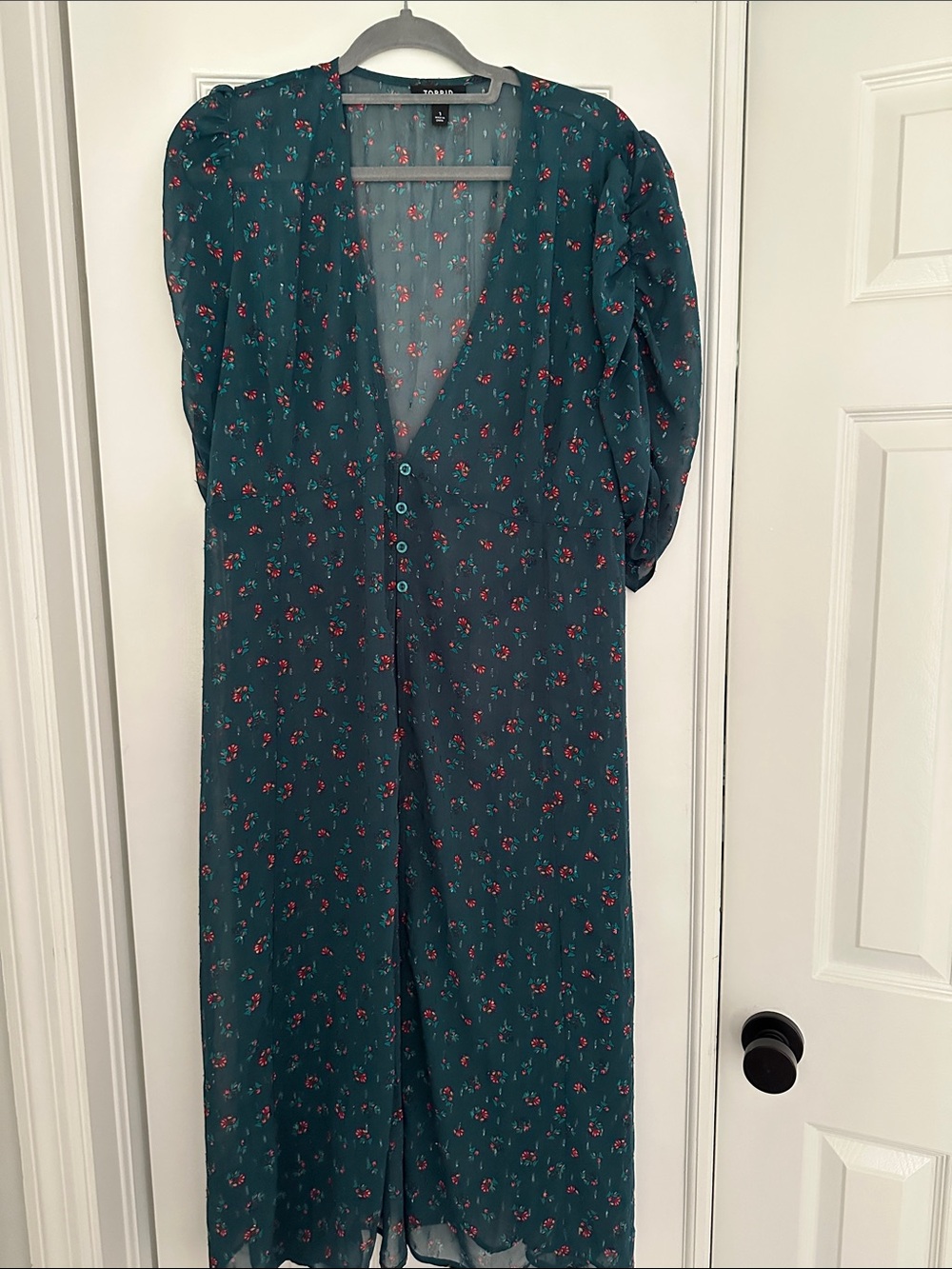 torrid Teal Sheer Dress with Red Floral Print